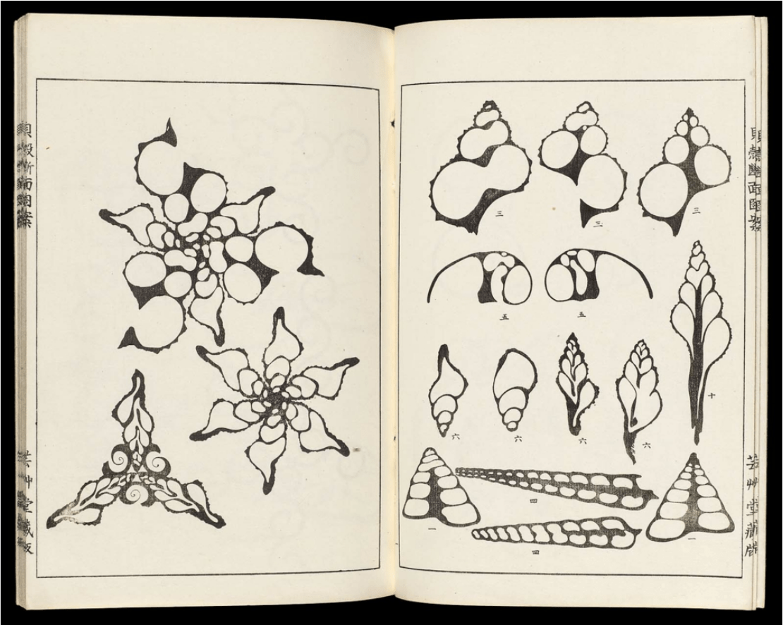 Screen Shot 2019-02-01 at 11.23.39 AM